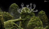 Samorost 3