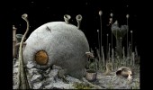 Samorost 2