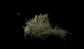 Samorost 2