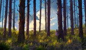 Forest of Liars